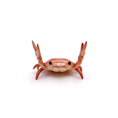 Funny Crab Desktop Pen Holder as creative stationery - Red