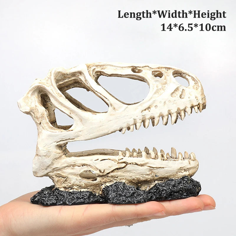 Dinosaur Skull Model Velociraptor Fossil Resin Skull Lifelike Dinosaur Skeleton Statue Figurine Aquarium Decorations Accessor