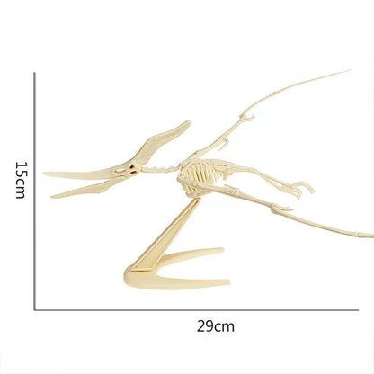 Simulation Dinosaur Fossil Plastic Skeleton Model Children's DIY Handmade Dinosaur Skeleton Assembly Kit Tyrannosaurus Rex Mo