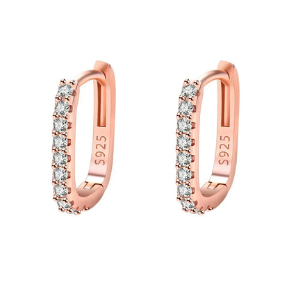 Original designer 925 Sterling Silver Elegant Crystal Jewelry Fashion Zircon Circle Hoop Earrings for Woman Wedding Party Gif