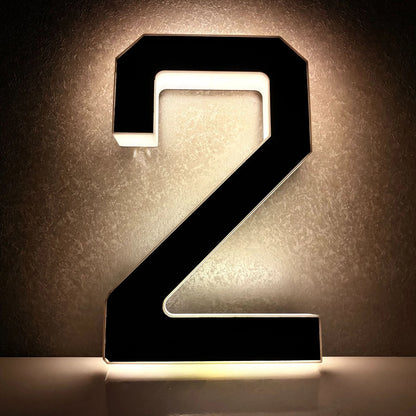 Light Up Address Numbers Dusk To Dawn LED Illuminated Modern Address Sign for Outside House Light Up Courtyard Hotel Bar