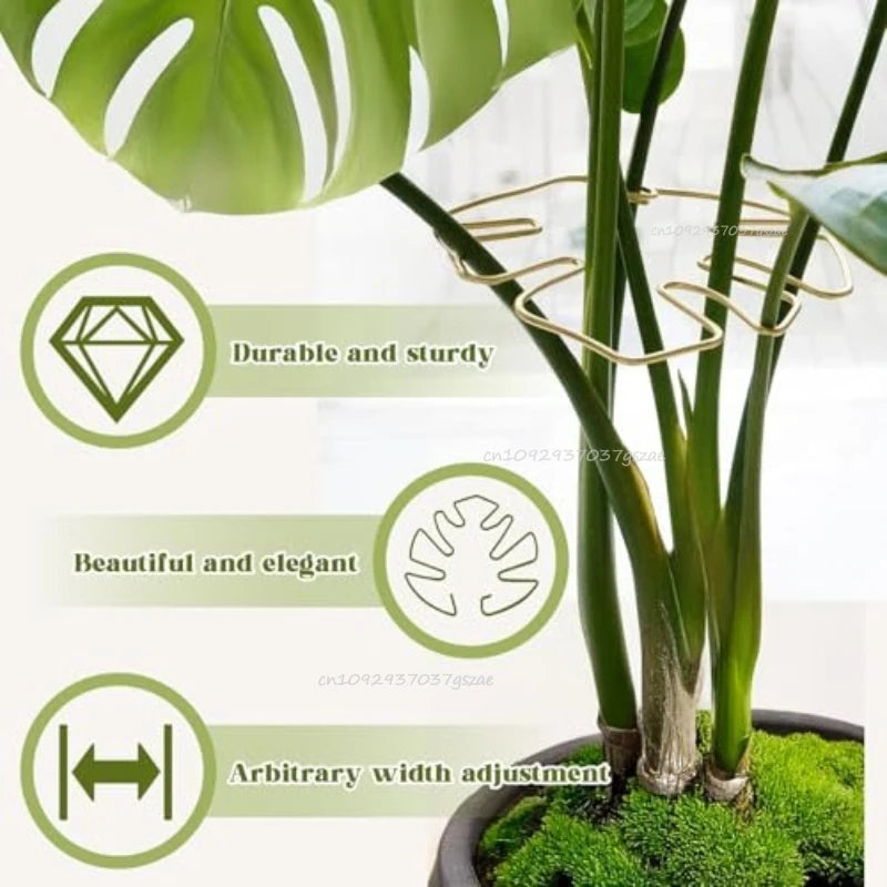 Anti-toppling Plant Stem Support No Nail Needed Multi-purpose Flower Climbing Stem Holder Vine Branch Monstera Stabilizer