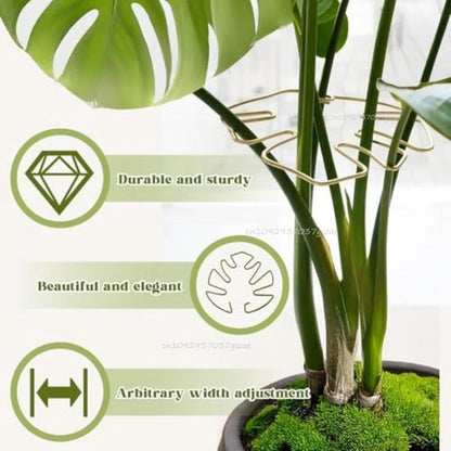 Anti-toppling Plant Stem Support No Nail Needed Multi-purpose Flower Climbing Stem Holder Vine Branch Monstera Stabilizer