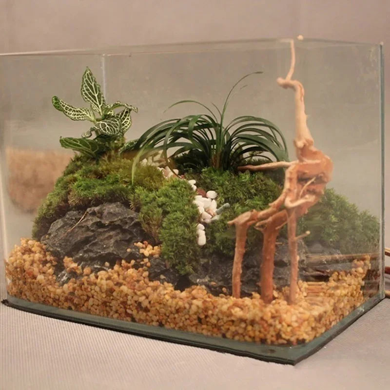 Natural Tree Trunk Driftwood Aquarium Fish Tank Reptile Cylinder Roots Plant Wood Decoration Ornament Accessory Aquarium Plan