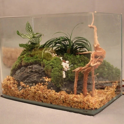 Natural Tree Trunk Driftwood Aquarium Fish Tank Reptile Cylinder Roots Plant Wood Decoration Ornament Accessory Aquarium Plan