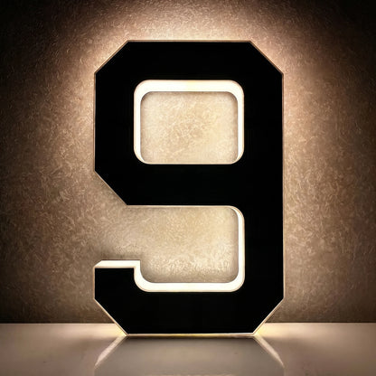 Light Up Address Numbers Dusk To Dawn LED Illuminated Modern Address Sign for Outside House Light Up Courtyard Hotel Bar - Nu