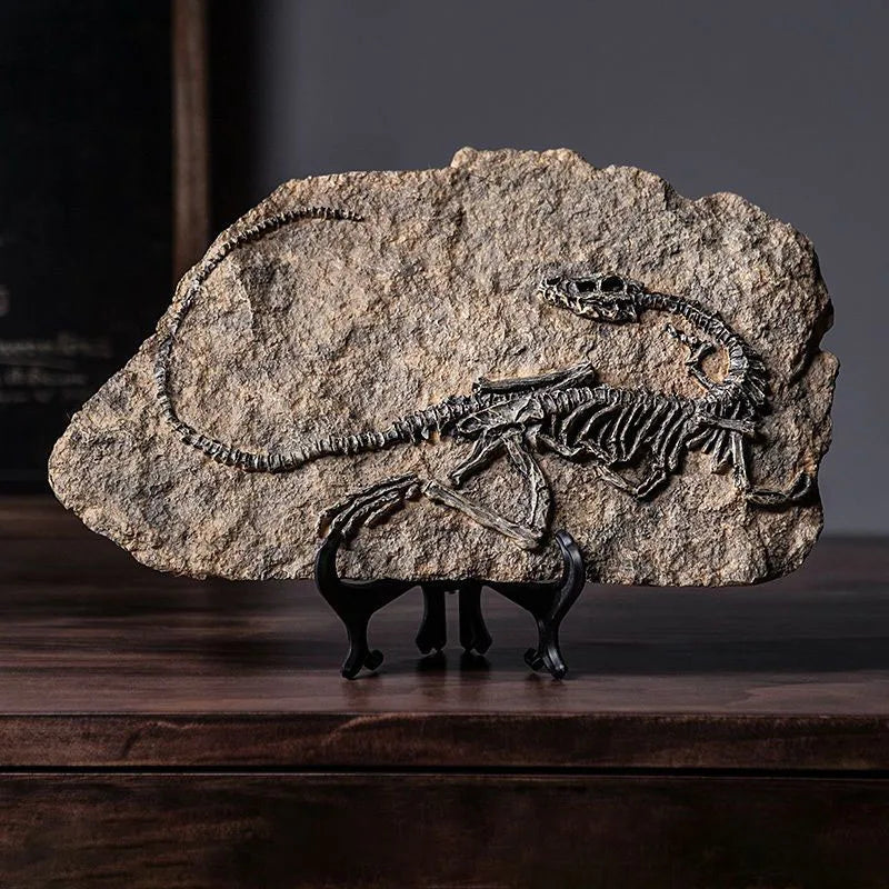 Simulated Dinosaur Fossil Model Resin Accessories Art Home Living Room Statue Decoration Items Study Office Sculpture Ornamen