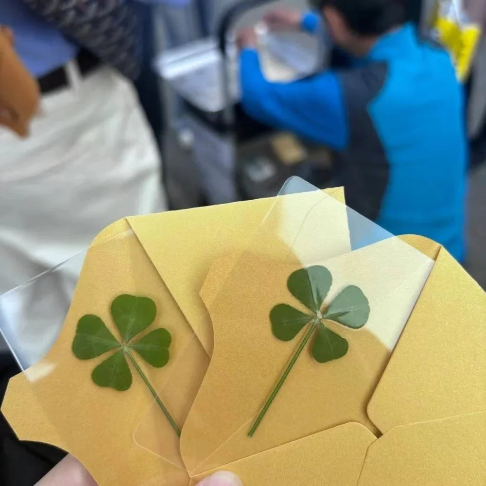 5Pcs Lucky Clover Postcards Grass Transparent Wishing Cards Ideal for Bookmarks & Decorations Perfect Holiday Gifts