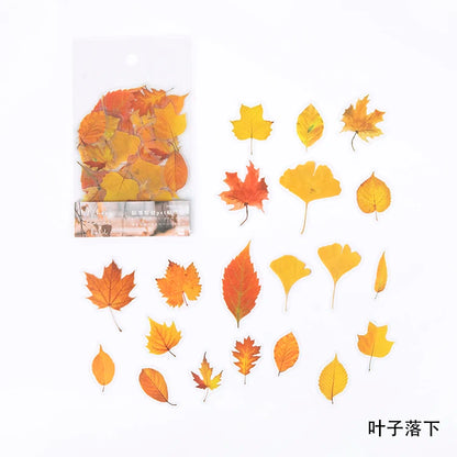 40pcs/bag Vintage Ginkgo leaves flowers PET sticker package DIY diary decoration sticker album scrapbooking - C