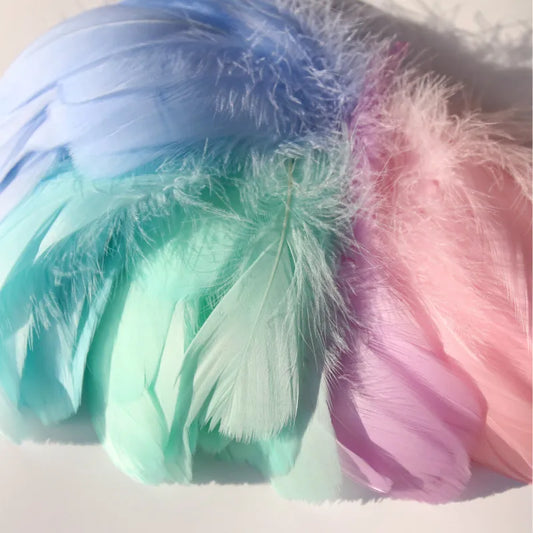 Natural Goose Feathers Plumes 4-15cm Colourful Swan Feather Plume for Home Decoration Craft DIY Party Jewelry Decoration 3Siz