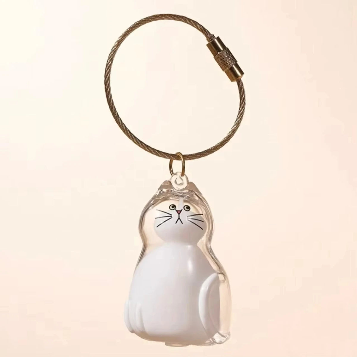 Cat Fur Memorial Charm Resin Keepsake Capsule for Pet Hair Portable Keychain Pendant for Hair Rainbow Bridge Pendant - D