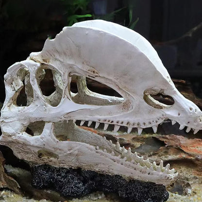 Dinosaur Skull Model Velociraptor Fossil Resin Skull Lifelike Dinosaur Skeleton Statue Figurine Aquarium Decorations Accessor