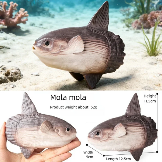 Realistic Marine Animal Figurine Deep Sea Creature Model Ocean Fish Figures Blobfish Collection Gift Ornament