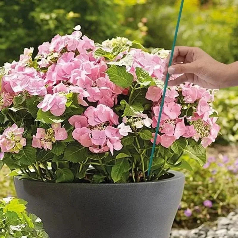 Plant Support Sticks Canes Bamboo Plants Stakes Potted Plants Tomato Sticks Supports Flower Sticks Climbing Plant Garden Tool