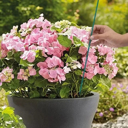 Plant Support Sticks Canes Bamboo Plants Stakes Potted Plants Tomato Sticks Supports Flower Sticks Climbing Plant Garden Tool