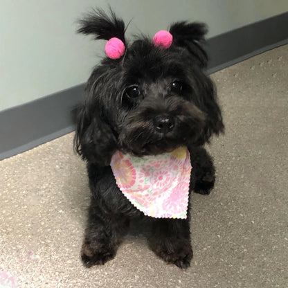 50/100pcs Cute Puppy Dog Cat Hair Bows with Rubber Bands Lace Ball Handmade Hair Bows Hair Accessories Dog Grooming Pet Produ