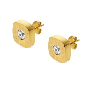 Hoop Earrings for Women Trendy Golden Stainless Steel Earring Jewelry New - D31 Gold