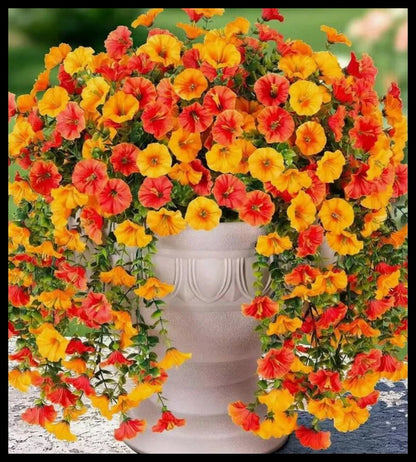 1/2Pcs Artificial Flowers Vine Morning Glory Wedding Bridal Home Room Table Festival Decor Outdoor Yard Garden Arch DIY Gift 