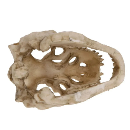 Dinosaur Fossil Model Fish Tank Aquarium Artificial Decoration Landscaping Ornaments Horror Props Art Deco Handicrafts Orname
