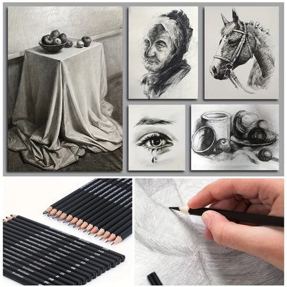 Drawing Pencils Sketch Pencil Professional Sketching Art Graphite Charcoal Blending Stump Pencils kit (29 art supplies)