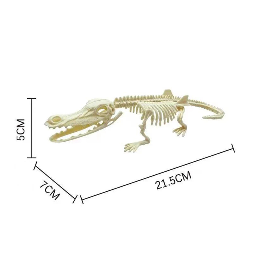 Simulation Dinosaur Fossil Plastic Skeleton Model Children's DIY Handmade Dinosaur Skeleton Assembly Kit Tyrannosaurus Rex Mo