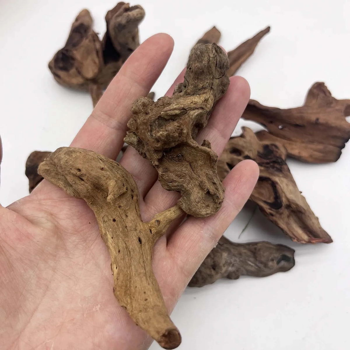3/6PCS Natural Small Driftwood for Aquarium Decor Fish Tank Decorations Decor Assorted Driftwood Branch Reptile Tank Wood Dec