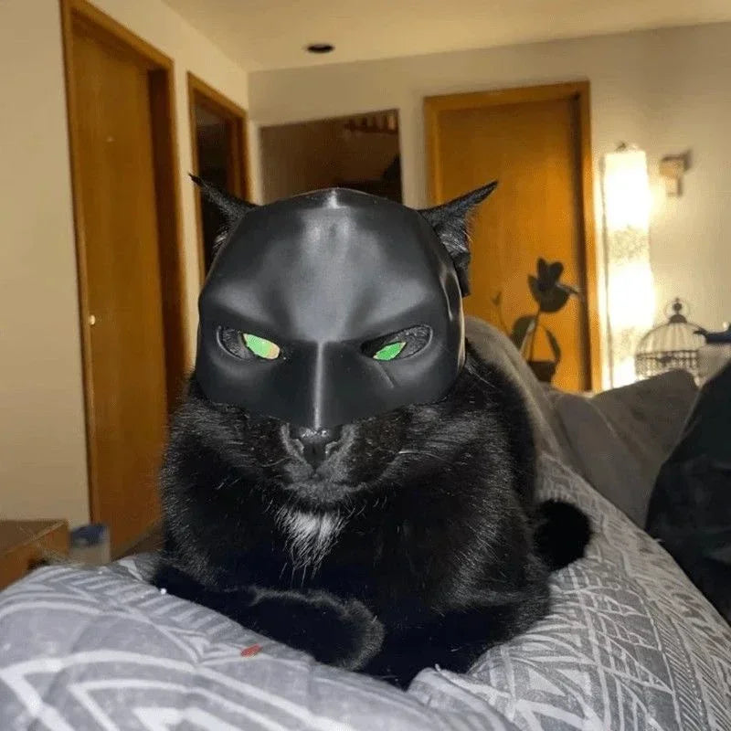 Cat Avenger Mask Bat Halloween 3D Printed Cosplay Hat Cat Funny Toys Photos Props Pet Accessories