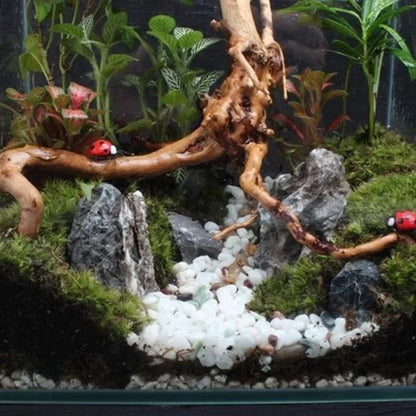 Natural Tree Trunk Driftwood Aquarium Fish Tank Reptile Cylinder Roots Plant Wood Decoration Ornament Accessory Aquarium Plan
