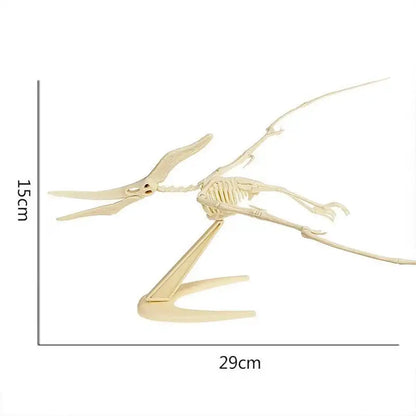 Simulation Dinosaur Fossil Plastic Skeleton Model Children's DIY Handmade Dinosaur Skeleton Assembly Kit Tyrannosaurus Rex Mo