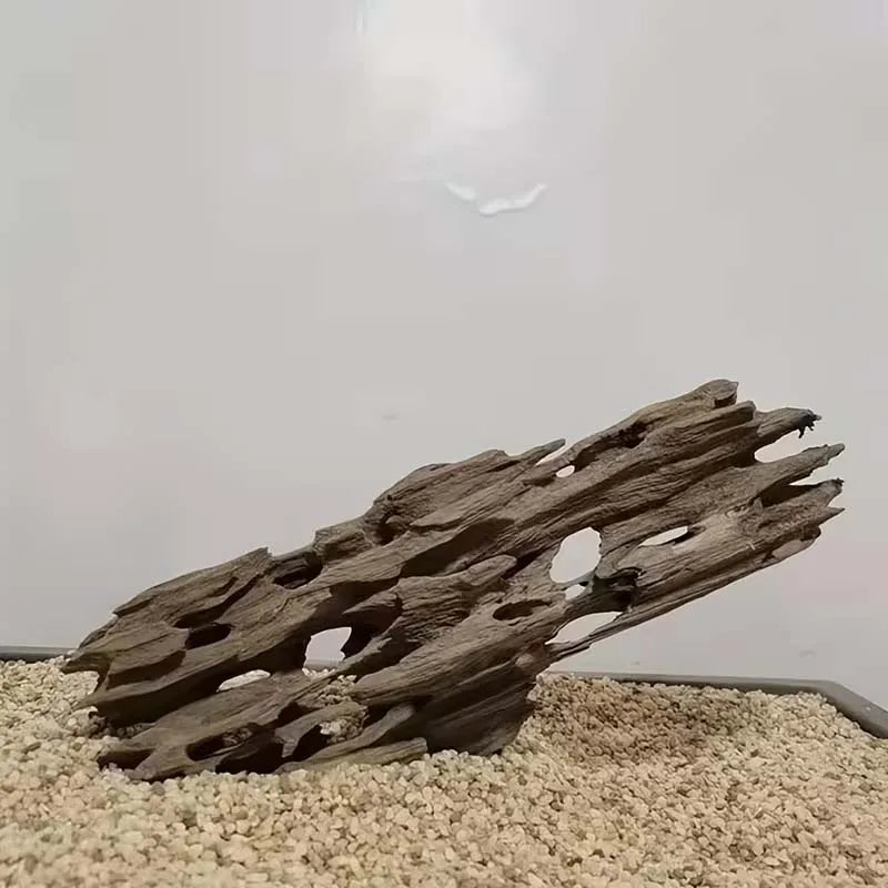 Shrimp Wood Aquarium Decor, Driftwood Water Feature Ornamental Accessories for Fish Tanks with Natural Holes Suitable for Shr