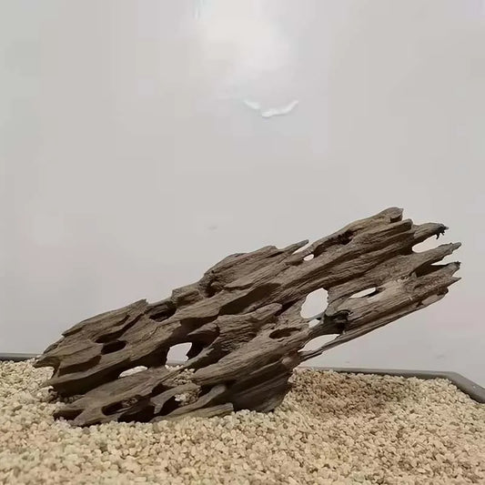 Shrimp Wood Aquarium Decor, Driftwood Water Feature Ornamental Accessories for Fish Tanks with Natural Holes Suitable for Shr