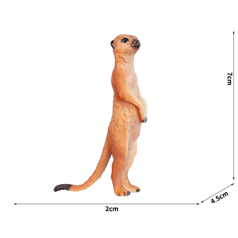 Simulation Wild Animal Model Wolf Monkey Fox Pangolin Squirrel Chinchilla Donkey Sloth Realistic Animal Figures Toys For Kids