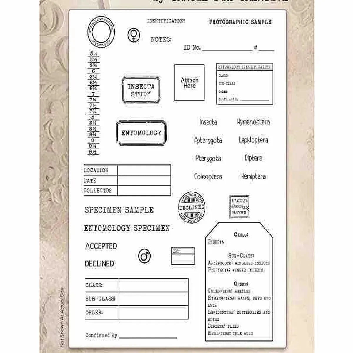 2026 New A6 Clear Stamps Identity Card Design DIY Scrapbook Journal Album Card Making Supplies - only stamp 43