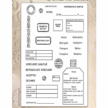2026 New A6 Clear Stamps Identity Card Design DIY Scrapbook Journal Album Card Making Supplies - only stamp 43