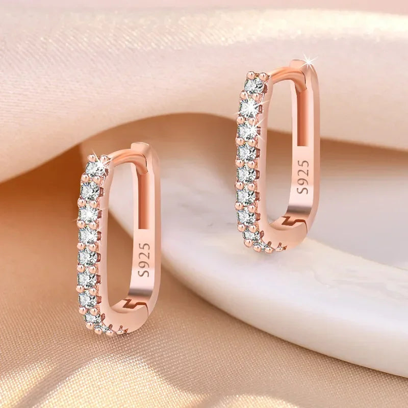 Original designer 925 Sterling Silver Elegant Crystal Jewelry Fashion Zircon Circle Hoop Earrings for Woman Wedding Party Gif