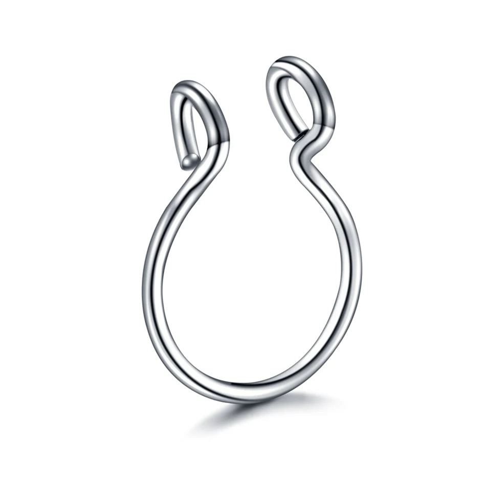 5pcs Stainless Steel Magnet Fake Nose Ring Hoop Fake Piercing Hoop Septum Rings For Women Fashion Gothic Rock Body Jewelry Gi
