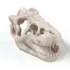 Resin Dinosaur Fossil Simulation Mini Dinosaur Ornaments Decorative Props Crafts Arts Artificial Decor for Fish Tank Aquarium