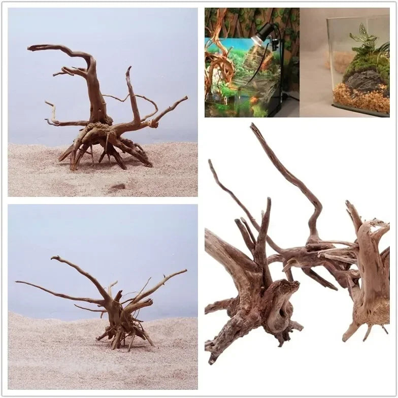 Natural Tree Trunk Driftwood Aquarium Fish Tank Reptile Cylinder Roots Plant Wood Decoration Ornament Accessory Aquarium Plan