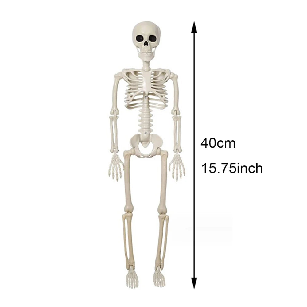 Halloween Decorations Skeleton,Posable Human Shape Skeleton,Halloween Fake Bone Horror Decoration - Skeleton