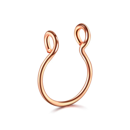5pcs Stainless Steel Magnet Fake Nose Ring Hoop Fake Piercing Hoop Septum Rings For Women Fashion Gothic Rock Body Jewelry Gi