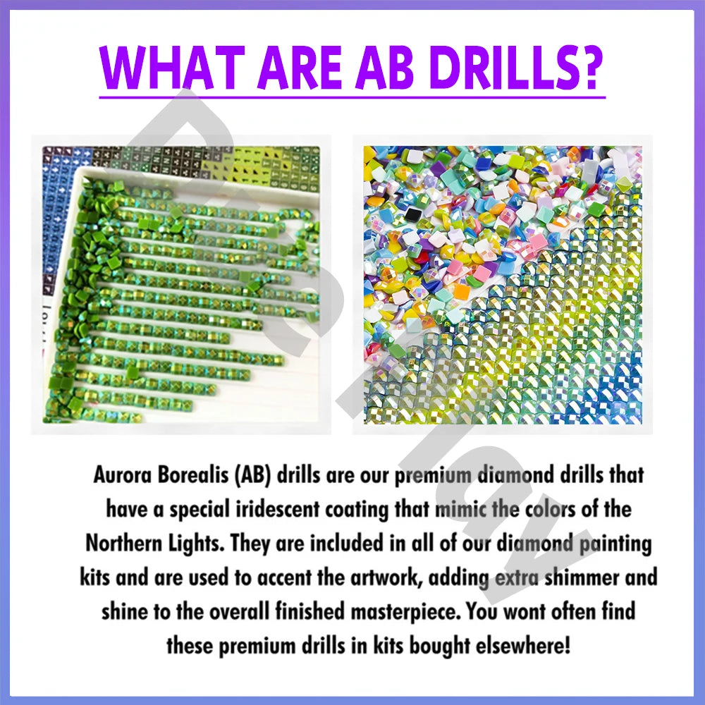 Resin Custom Diamond Painting Part AB Fairy Dust Photo Full Drill DIY 5D Mosaic Embroidery Hobby Birthday Velvet Canvas Gift