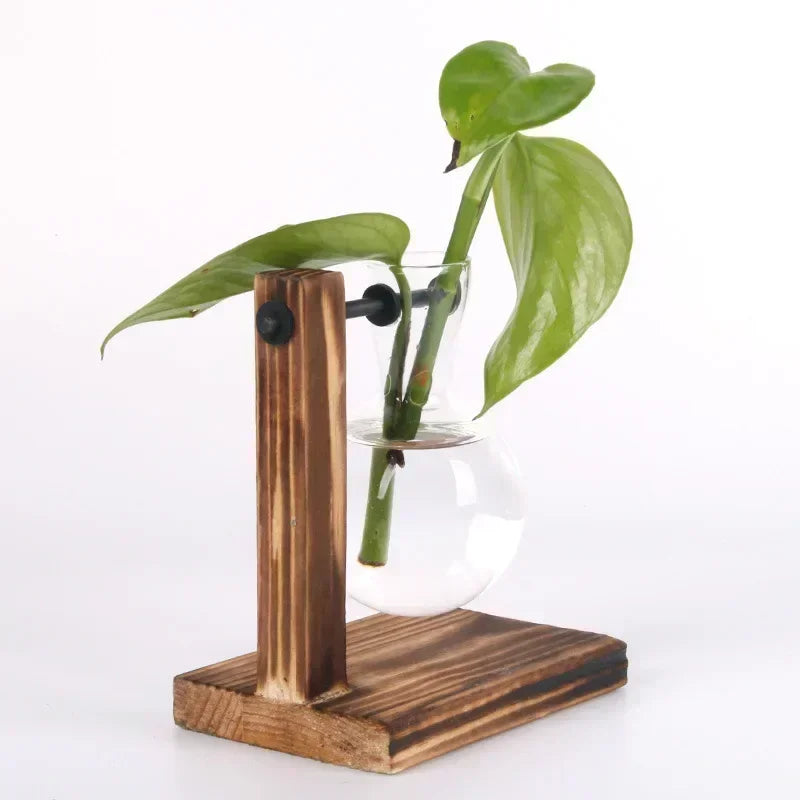 Hydroponic Plant Terrarium Vasevase Decoration Home Glass Bottle Hydroponic Desktop Decoration Office Green Plant Small Potte