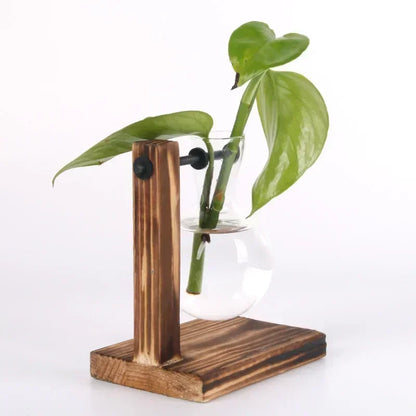 Hydroponic Plant Terrarium Vasevase Decoration Home Glass Bottle Hydroponic Desktop Decoration Office Green Plant Small Potte