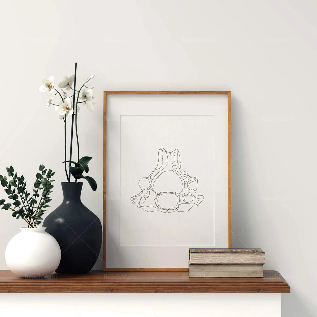 Abstract Medical Art Set of 4, Minimalist Chiropractic Art Prints, Simple Line Art Anatomy, Spine Art Poster, Vertebrae Drawi
