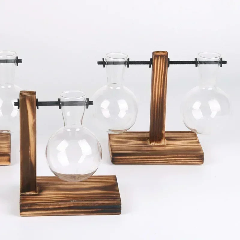 Hydroponic Plant Terrarium Vasevase Decoration Home Glass Bottle Hydroponic Desktop Decoration Office Green Plant Small Potte