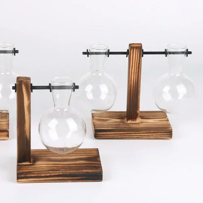 Hydroponic Plant Terrarium Vasevase Decoration Home Glass Bottle Hydroponic Desktop Decoration Office Green Plant Small Potte