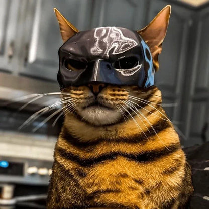 Cat Avenger Mask Bat Halloween 3D Printed Cosplay Hat Cat Funny Toys Photos Props Pet Accessories