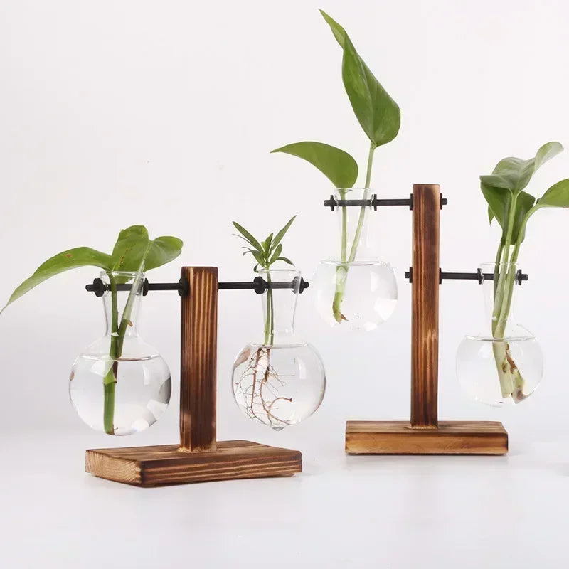 Hydroponic Plant Terrarium Vasevase Decoration Home Glass Bottle Hydroponic Desktop Decoration Office Green Plant Small Potte