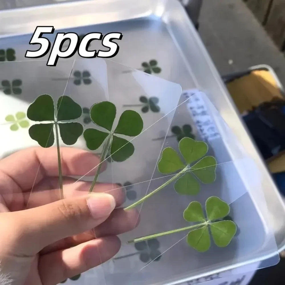 5Pcs Lucky Clover Postcards Grass Transparent Wishing Cards Ideal for Bookmarks & Decorations Perfect Holiday Gifts - 5Pcs