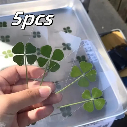 5Pcs Lucky Clover Postcards Grass Transparent Wishing Cards Ideal for Bookmarks & Decorations Perfect Holiday Gifts - 5Pcs